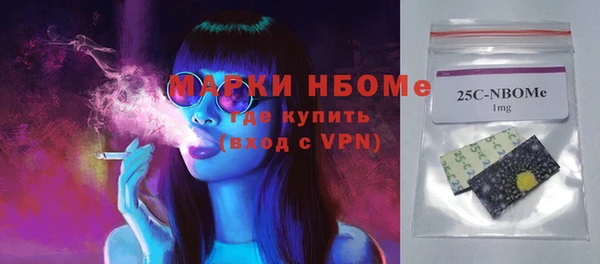 мет Алексин