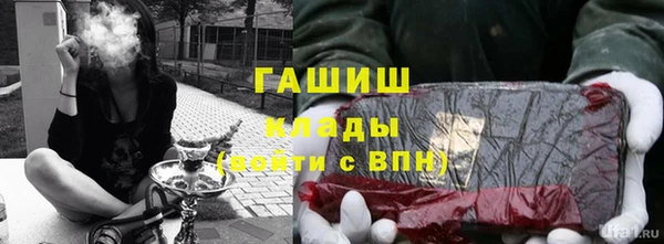 мет Алексин