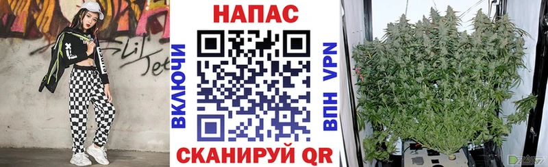 МАРИХУАНА план  Купить  Демидов 